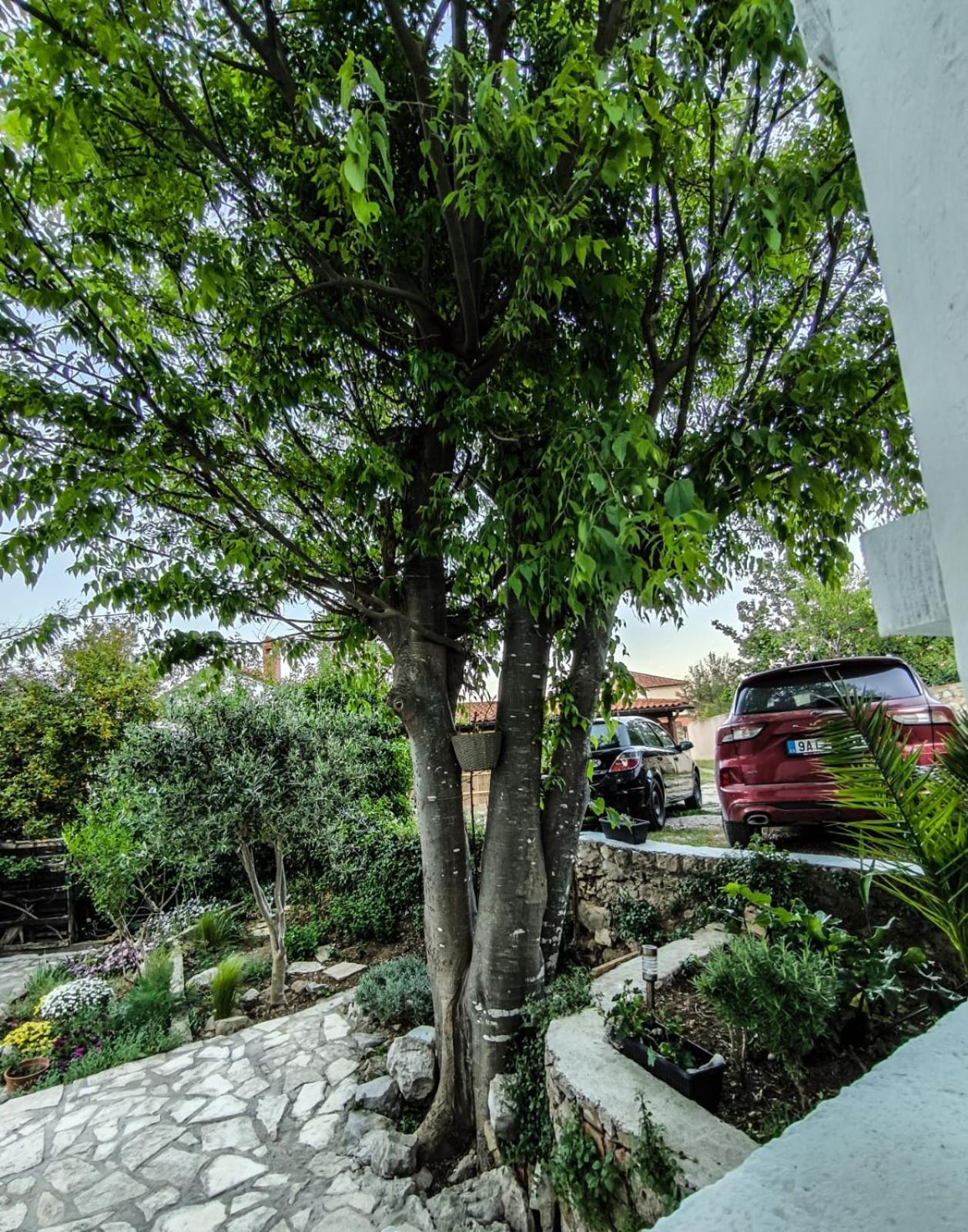Nerezine Apartmany Centrum Bagian luar foto